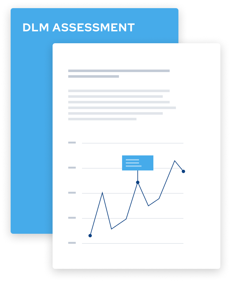 DLM assessment image